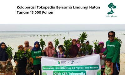 Tokopedia tanam 13000 mangrove