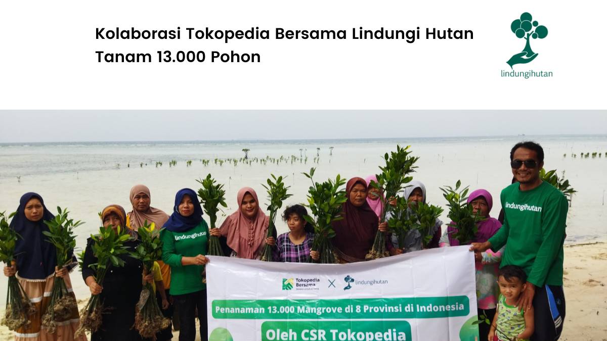 Tokopedia tanam 13000 mangrove