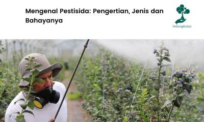 mengenal pestisida dan bahayanya