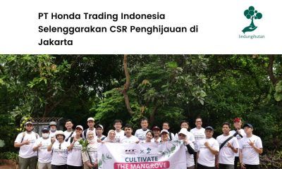 PT Honda Trading tanam mangrove