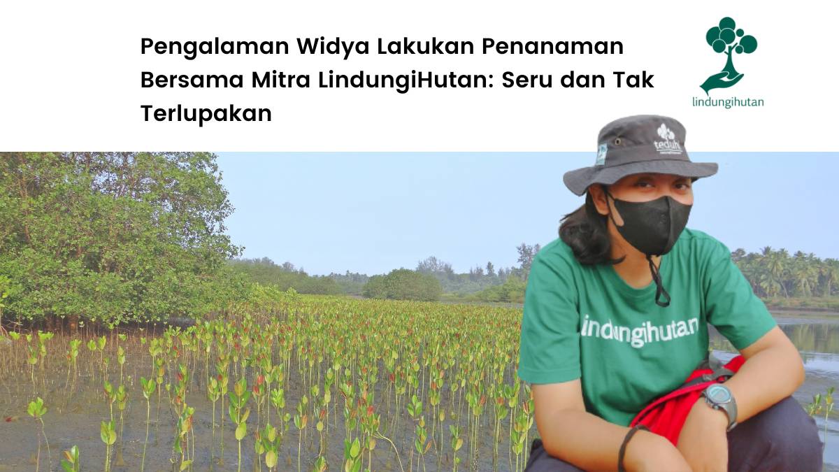 pengalaman widya menanam bersama mitra lindungihutan