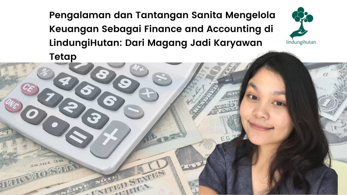 finance an accounting lindungihutan