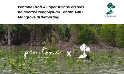 Penanaman mangrove bersama Pentone Craft And Paper.
