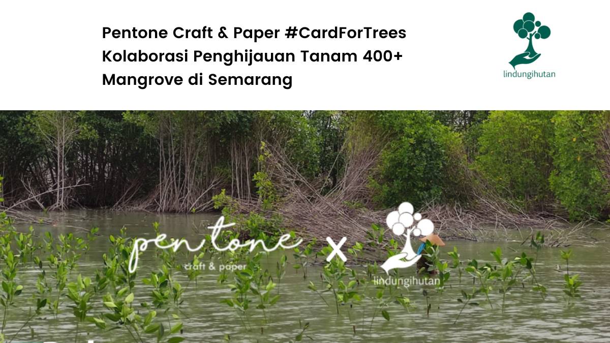 Penanaman mangrove bersama Pentone Craft And Paper.