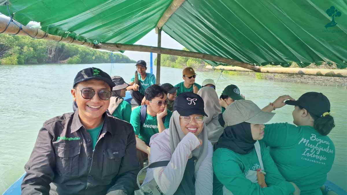 cacip cto lindungihutan founder