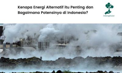 Pengertian energi alternatif