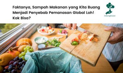 Dampak sampah makanan.