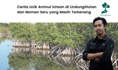 Cerita unik Ai di LindungiHutan