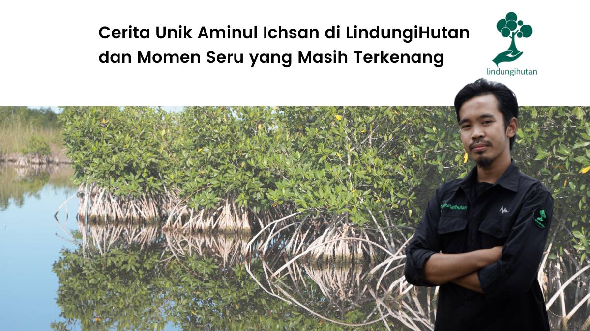 Cerita unik Ai di LindungiHutan