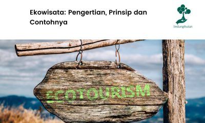 pengertian ekowisata