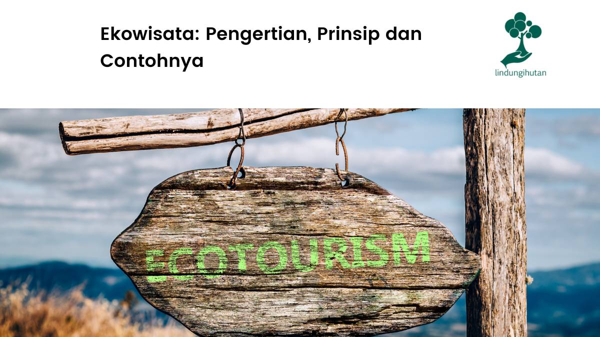 pengertian ekowisata