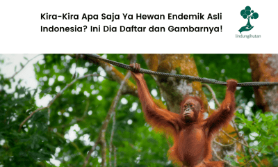 Daftar hewan endmik asli Indonesia.
