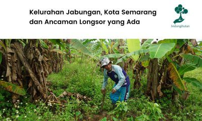 Kondisi Kelurahan Jabungan, Semarang.