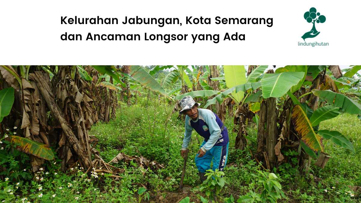 Kondisi Kelurahan Jabungan, Semarang.