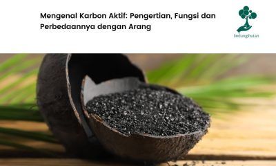 pengertian karbon aktif dan fungsi