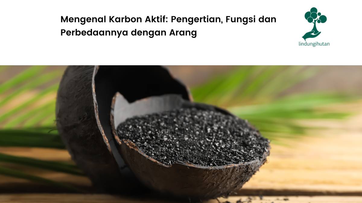 pengertian karbon aktif dan fungsi