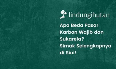 Pasar Karbon Wajib dan Pasar Karbon Sukarela