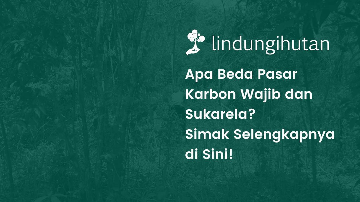 Pasar Karbon Wajib dan Pasar Karbon Sukarela