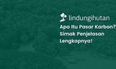 Pasar karbon adalah