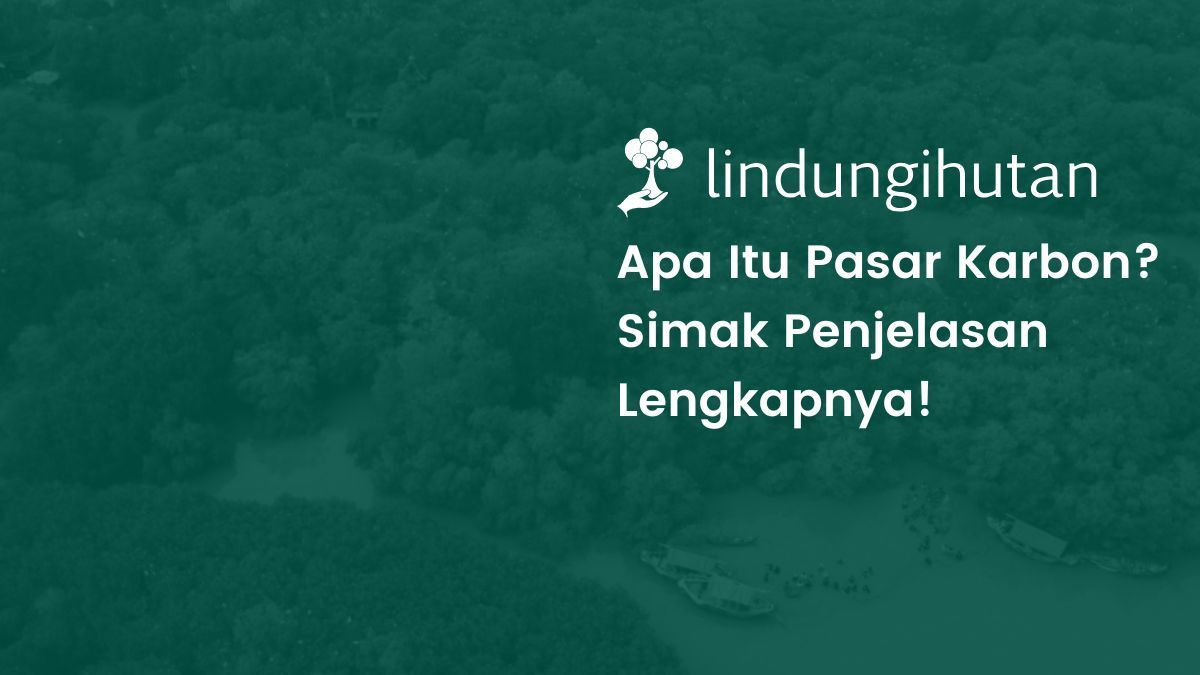 Pasar karbon adalah