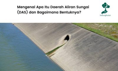 Apa itu daerah aliran sungai?