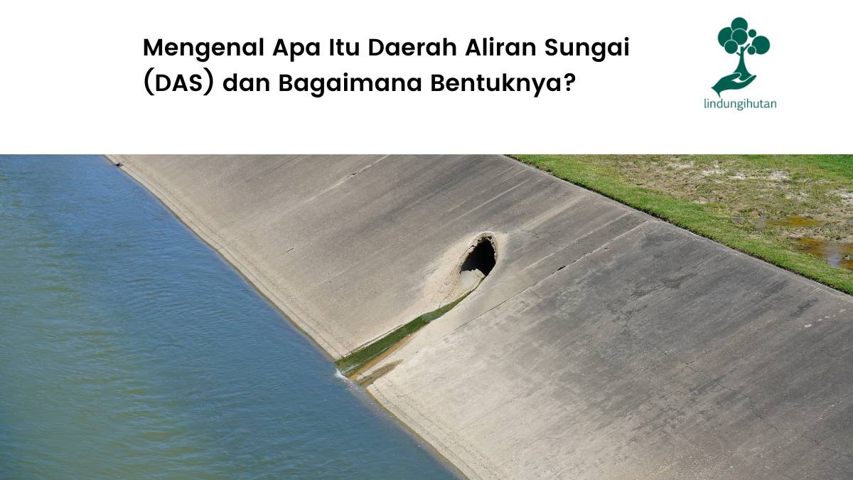 Apa itu daerah aliran sungai?