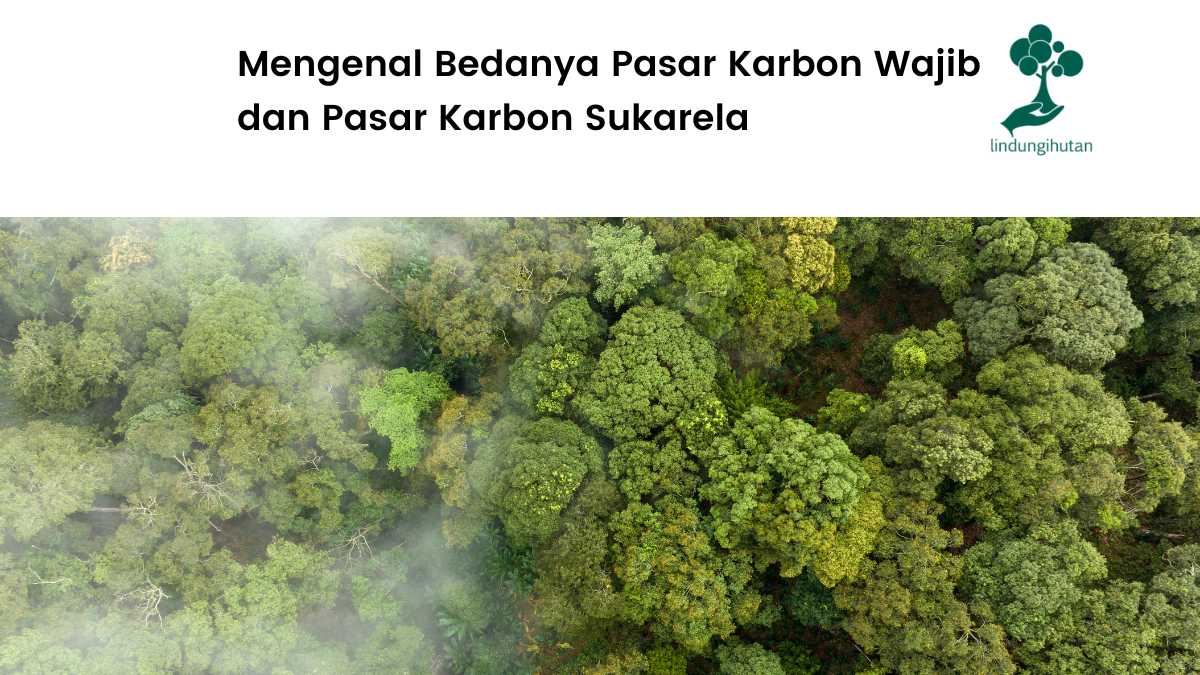 Pengertian pasar karbon wajib dan sukarela.