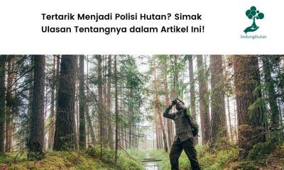 Mengenal profesi polisi hutan.