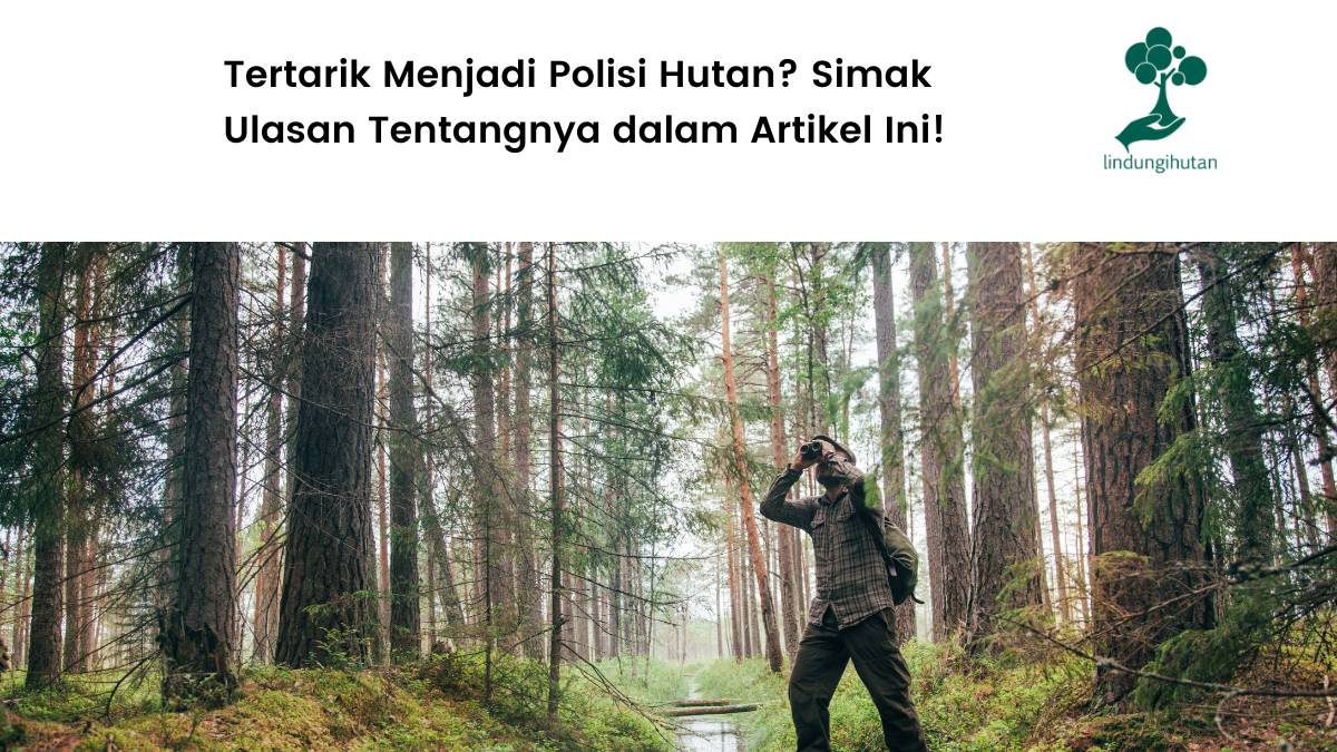 Mengenal profesi polisi hutan.