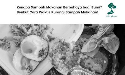 Cara praktis tangani sampah makanan.