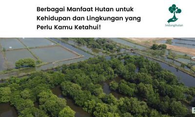Manfaat hutan.