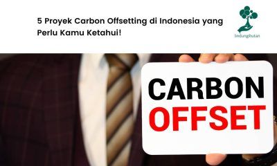 Proyek Carbon Offsetting