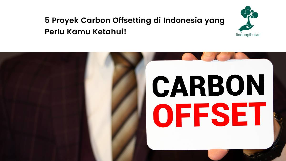 Proyek Carbon Offsetting