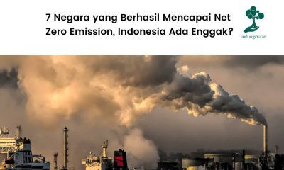 7 Negara yang Berhasil Mencapai Net Zero Emission
