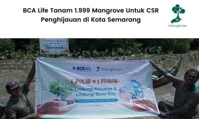 BCAlife Tanam 1.999 Mangrove