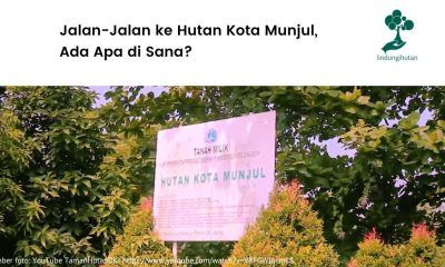 Gambar Hutan Kota Munjul.