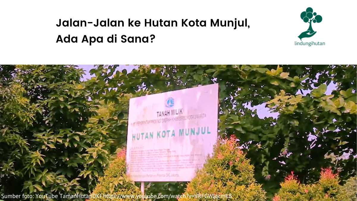 Gambar Hutan Kota Munjul.