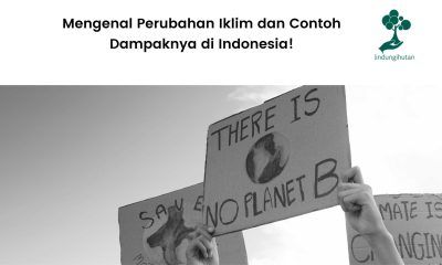 Perubahan iklim.