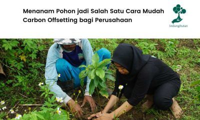 Pentingnya carbon offsett.