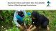 Pentingnya carbon offsett.