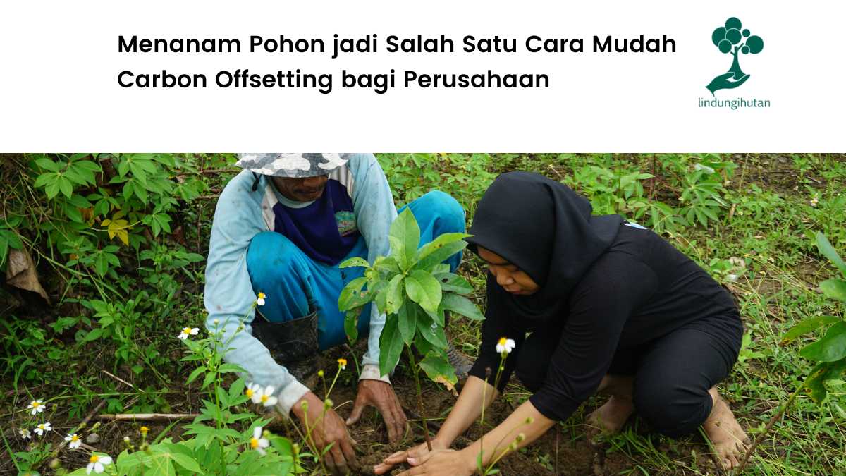 Pentingnya carbon offsett.