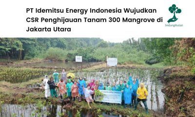 PT Idemitsu Energy Indonesia tanam mangrove