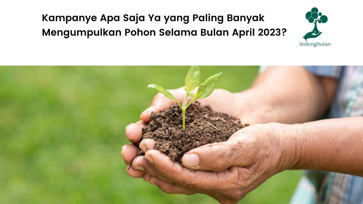 Report 5 Kampanye Alam dengan Jumlah Pohon Terbanyak selama Bulan Maret 2023.