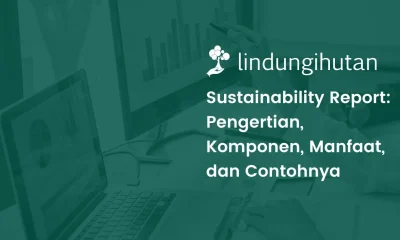 Sustainability report adalah