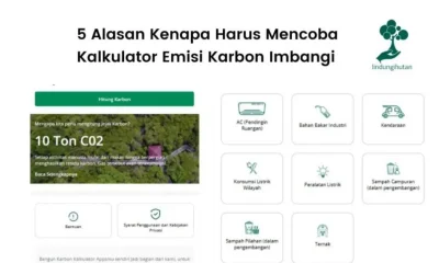 Carbon calculator