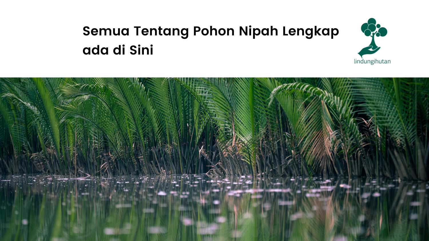 Pohon nipah