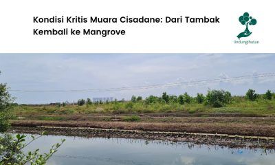 Muara Sungai Cisadane Tangerang