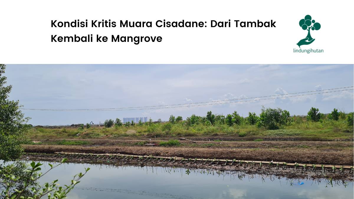 Muara Sungai Cisadane Tangerang