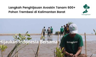 Penanaman pohon Avoskin