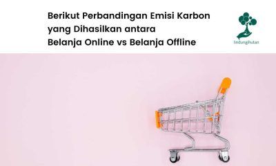 Emisi karbon belanja online.